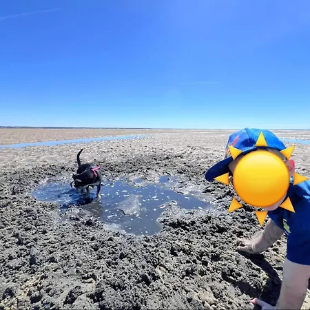 Cap-ferret Confort Piscine, 6 Pers Avec Vaynycm * Lège-Cap-Ferret