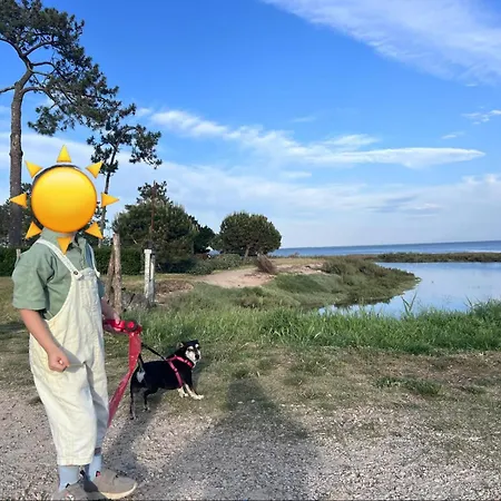 Cap-ferret Confort Piscine, 6 Pers Avec Vaynycm Campingplads *